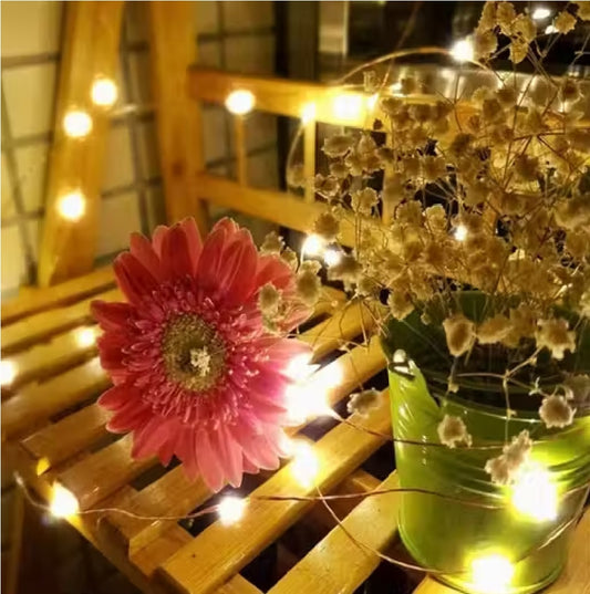 50 LED Warm White String Light – 5 Meter Heavy Duty Copper Pixel Rice Light (Pack of 1)